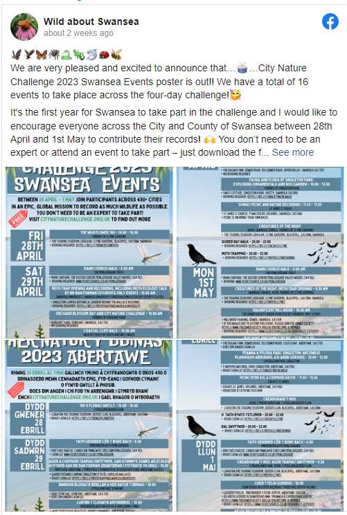 City Nature Challenge - Swansea Events on Facebook 'Wild about swansea' page